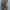 knit culottes photo 3