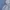 Reebok Streetwear Y2K Hoody Pria gray photo 3