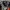 New Era Biker Hat Pria black photo 2