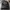 New Era Biker Hat Pria black photo 7