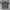 Saint Holy Life Faded Black T-shirt | 30200