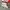 Nike Blazer Low Full White photo 1