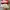 Nike Blazer Low Full White photo 2