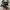 Converse Allstar Fullblack photo 2