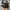 Converse Allstar Fullblack photo 3