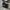 Converse Allstar Fullblack photo 1