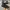 Converse Allstar Fullblack photo 4