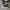 Converse 70s x CDG Black White photo 1