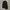 Spao Black Field Jacket photo 4