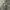 Jaket Zipper Frblomm Gray basic  photo 2