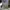 Vans Skater Indie Sneakers Pria white black photo 6