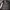 Vision Street Wear Streetwear Skater Windbreaker Pria white black photo 5