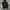 nike tech fleece  photo 1
