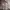 Gorpcore Sportswear Sweatshirt Pria cream tan photo 1