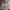 Gorpcore Sportswear Sweatshirt Pria Cream Tan