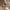 Gorpcore Sportswear Sweatshirt Pria cream tan photo 4