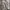 Gorpcore Sportswear Sweatshirt Pria cream tan photo 2