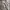 Gorpcore Sportswear Sweatshirt Pria Cream Tan