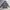 Hodie sherpa dlam new photo 1