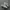 nike m2k photo 1