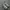 nike m2k photo 3