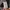 Kangol Hooded Man-to-Man SS photo 3
