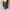 Korean Model Dress Premium photo 1