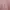 Colorbox Coquette Casual Cardigan Wanita pink photo 3