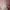 Colorbox Coquette Casual Cardigan Wanita pink photo 4
