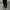 Uniqlo Casual Casual pants Pria black photo 3