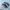 SALOMON GORTEX Xt6