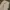 VINTAGE DICKIES THICK CANVAS CANPENTER PANTS - Carhartt photo 5