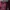 Lolita Midi dress Wanita burgundy photo 3
