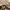 Lee Vintage Casual Casual pants Pria tan photo 5
