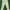 Crocodile Vintage Casual Formal Pants Pria White