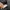 JOFFJEANS23 Korean Brand Eimbordery Canvas Black Coach  photo 8