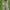 Lee Vintage Casual Casual pants Pria blue photo 4
