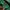 Hoodie adidas palmeiras photo 4