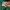 Hoodie adidas palmeiras photo 5