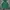 Hoodie adidas palmeiras photo 2