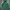 Hoodie Adidas Palmeiras