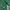 Hoodie adidas palmeiras photo 1