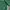 Hoodie Adidas Palmeiras