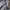 Streetwear Gorpcore Parka Pria brown photo 8