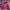 The north face sb mp3 gorp core jacket photo 2