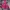 The north face sb mp3 gorp core jacket photo 1