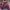 The north face sb mp3 gorp core jacket photo 4
