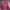 The north face sb mp3 gorp core jacket photo 3