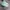 NEW BALANCE 1906R GREEN photo 3