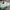 NEW BALANCE 1906R GREEN photo 4
